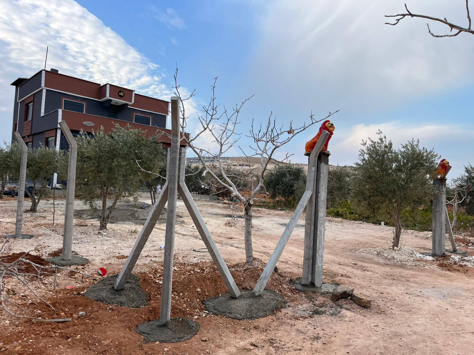 Beton Çit Direği Çeşitleri: Hangi Direk Nereye Uygun?