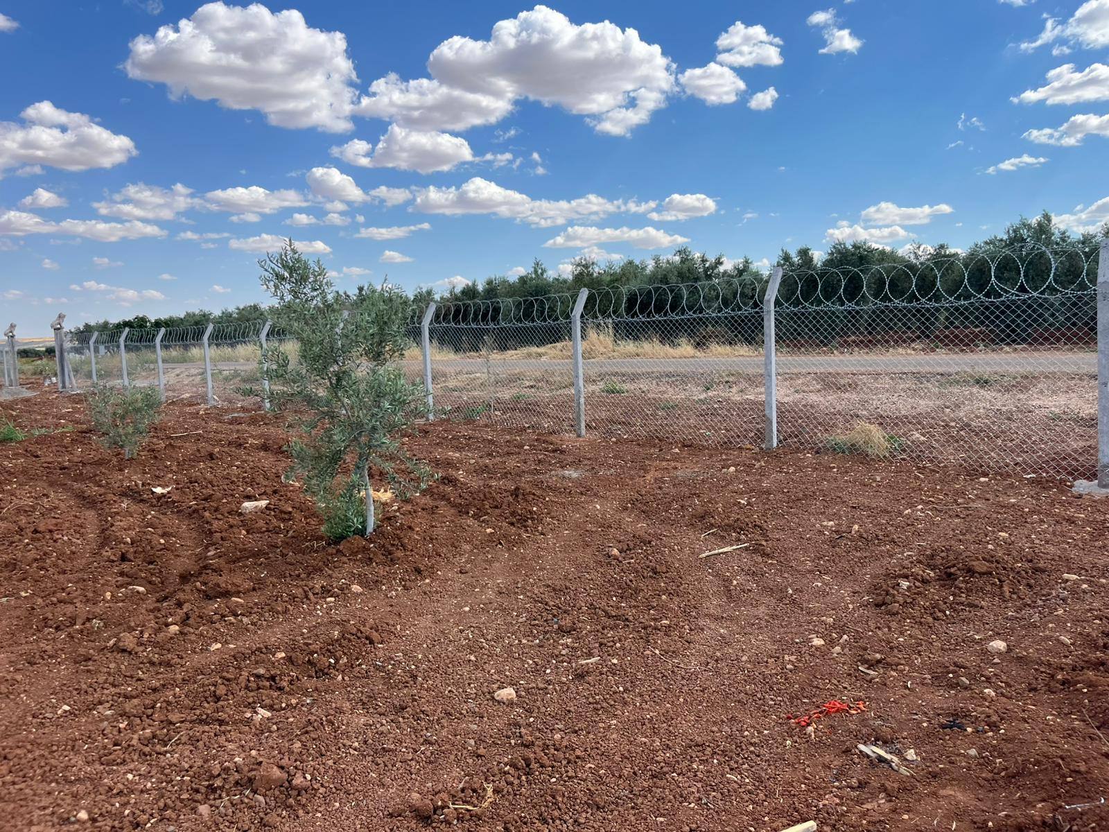Tel Çit Metre ve Metrekare Fiyatı: Adım Adım Kendiniz Çıkarın (2026)