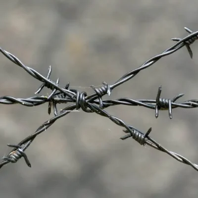 gaziantep dikenli tel hizmeti